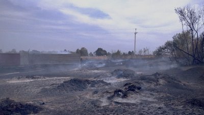 "Дим чорний стояв". На Кіровоградщині горіло понад два гектари землі "Дим чорний стояв". На Кіровоградщині горіло понад два гектари землі