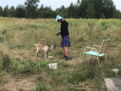 "Важко збагнути, що це колись було село" — староста в одній із громад Житомирщини Ірина Гарбузюк "Важко збагнути, що це колись було село" — староста в одній із громад Житомирщини Ірина Гарбузюк