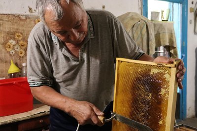"Цьогоріч засуха просто вбила пасіку": бджоляр з Дніпропетровщини розказав про урожай меду "Цьогоріч засуха просто вбила пасіку": бджоляр з Дніпропетровщини розказав про урожай меду