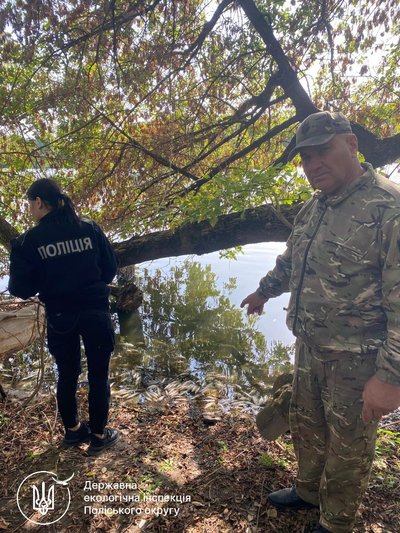 Екологи зафіксували масову загибель риби в річці Тетерів у Житомирі Екологи зафіксували масову загибель риби в річці Тетерів у Житомирі