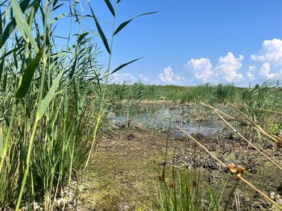 "Маємо свою криницю, а воду купуємо": у селі Нагачів на Львівщині зникла вода "Маємо свою криницю, а воду купуємо": у селі Нагачів на Львівщині зникла вода