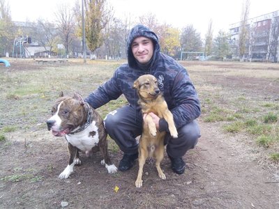 Сотні врятованих котів та собак: чому зооволонтер з Одещини допомагає тваринам Сотні врятованих котів та собак: чому зооволонтер з Одещини допомагає тваринам