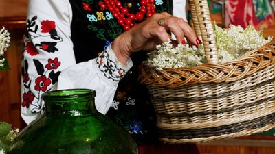 "Домашнє шампанське" з бузини: рецепт літнього напою від господині з Рівненщини "Домашнє шампанське" з бузини: рецепт літнього напою від господині з Рівненщини