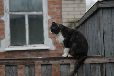 "Як усі виїдуть - шо тут буде?" Як живуть у прикордонному Білопіллі на Сумщині та громаді