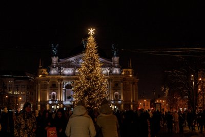 У центрі Львова засвітили головну ялинку міста У центрі Львова засвітили головну ялинку міста