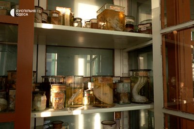 Про доброзичливе ставлення до смерті, роботу з живими та російську пропаганду: інтерв'ю з судмедекспертом з Одеси Про доброзичливе ставлення до смерті, роботу з живими та російську пропаганду: інтерв'ю з судмедекспертом з Одеси