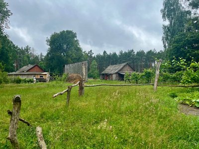 56-річна волинянка понад 35 років живе на хуторі. У Тіктоці показує, як господарює 56-річна волинянка понад 35 років живе на хуторі. У Тіктоці показує, як господарює