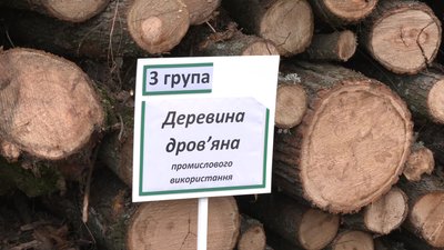 Кошти на дрова та вугілля: хто отримає та як оформити допомогу на Сумщині