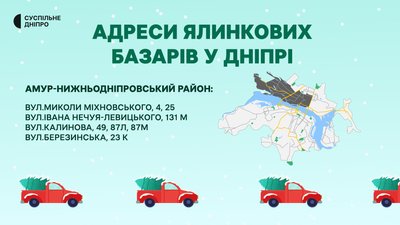 Ялинкові базари: де придбати святкове дерево у Дніпрі Ялинкові базари: де придбати святкове дерево у Дніпрі