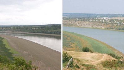 У Чернівецькій області висохле дно Дністра стало берегом і заросло: як це може вплинути на річку У Чернівецькій області висохле дно Дністра стало берегом і заросло: як це може вплинути на річку