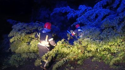 Негода на Житомирщині: сильна злива підтопила сотні дворів і повалила дерева Негода на Житомирщині: сильна злива підтопила сотні дворів і повалила дерева