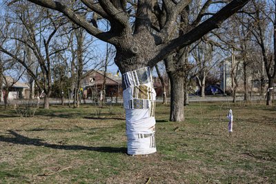 Херсон, Бузковий парк, пам'ять, ЗСУ Херсон, Бузковий парк, пам'ять, ЗСУ