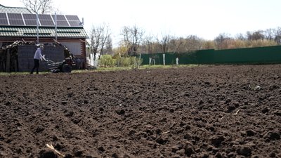 Посадити картоплю на Чернігівщині трактором: скільки коштує Посадити картоплю на Чернігівщині трактором: скільки коштує