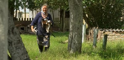 "До маршрутки — 4 км": реалії життя у селі Дубини на Рівненщині "До маршрутки — 4 км": реалії життя у селі Дубини на Рівненщині