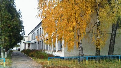 Школи на Чернігівщині: в Городнянській громаді закриють три початкові школи Школи на Чернігівщині: в Городнянській громаді закриють три початкові школи