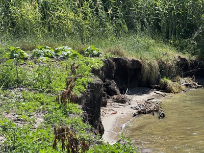 "До найближчої хати 30 метрів": на Полтавщині водосховище руйнує берег "До найближчої хати 30 метрів": на Полтавщині водосховище руйнує берег
