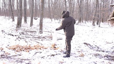 У нацпарку "Холодний яр" на Черкащині обліковують та підгодовують диких тварин У нацпарку "Холодний яр" на Черкащині обліковують та підгодовують диких тварин