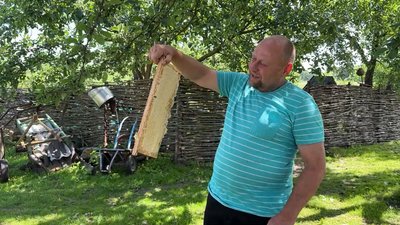 Замінила батька на пасіці, поки той воює: як жителька Чернігівщини доглядає пасіку з понад сотнею бджолосімей Замінила батька на пасіці, поки той воює: як жителька Чернігівщини доглядає пасіку з понад сотнею бджолосімей