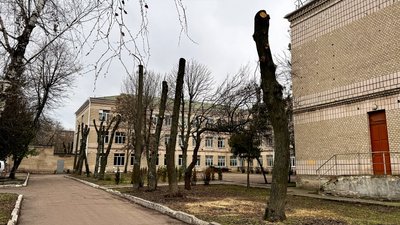 Без гілок, з пошкодженою корою: на території кропивницького ліцею "Сокіл" обрізали липи Без гілок, з пошкодженою корою: на території кропивницького ліцею "Сокіл" обрізали липи