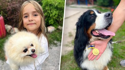 Жителі села на Вінниччині влаштували виставку собак Жителі села на Вінниччині влаштували виставку собак