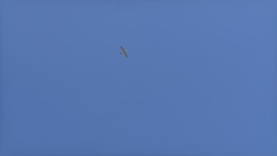 Ліквідують цілі цілодобово: на Миколаївщині бійці 123 бригади розповіли про роботу з дронами Ліквідують цілі цілодобово: на Миколаївщині бійці 123 бригади розповіли про роботу з дронами