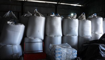 "Не можна спрогнозувати врожайність": які нішеві культури обирають черкаські фермери "Не можна спрогнозувати врожайність": які нішеві культури обирають черкаські фермери