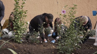 У Вінниці висадили лавандову алею до Дня захисника та захисниці У Вінниці висадили лавандову алею до Дня захисника та захисниці