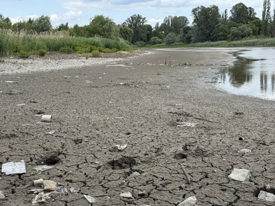 У Полтаві шукають спосіб врятувати Пушкарівський ставок У Полтаві шукають спосіб врятувати Пушкарівський ставок