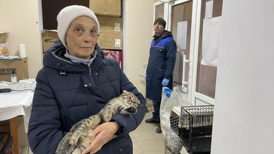 Місцева жителька Лариса тримає у руках прооперовану кішку Місцева жителька Лариса тримає у руках прооперовану кішку