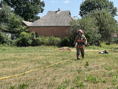 На Полтавщині внаслідок пожежі згорів сінник та постраждала людина На Полтавщині внаслідок пожежі згорів сінник та постраждала людина