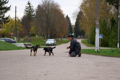 «Усіх вже знаю, всі як рідні»: як село на Сумщині приймає переселенців «Усіх вже знаю, всі як рідні»: як село на Сумщині приймає переселенців