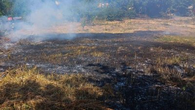На Черкащині протягом доби 16 липня виникло три пожежі сухостою та стерні На Черкащині протягом доби 16 липня виникло три пожежі сухостою та стерні