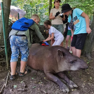 У Рівненському зоопарку проведуть екскурсії до Всесвітнього тижня зоокіпера У Рівненському зоопарку проведуть екскурсії до Всесвітнього тижня зоокіпера
