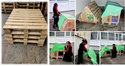 З картону і старого одягу — черкаські учні роблять укриття для котів і собак З картону і старого одягу — черкаські учні роблять укриття для котів і собак