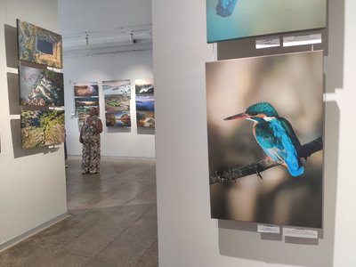 Виставка картин, Денис Кривий, Тернопіль, липень 2024 Виставка картин, Денис Кривий, Тернопіль, липень 2024