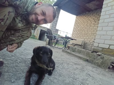 Яків із фронту: історія врятованого прикордонником собаки Яків із фронту: історія врятованого прикордонником собаки