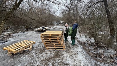 "Залишилося біля 110 тварин": що нині в підтопленому притулку "БІМ", чи спала вода й чи знайшли нове місце для нього "Залишилося біля 110 тварин": що нині в підтопленому притулку "БІМ", чи спала вода й чи знайшли нове місце для нього