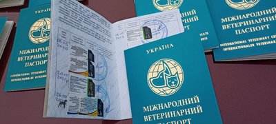 Житомирянин утримує 27 собак: є нарікання, що тварини голодують і нестерилізовані