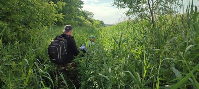 Ботанічна експедиція: у нацпарку на Рівненщині доповнили колекцію рослин понад 30 видами Ботанічна експедиція: у нацпарку на Рівненщині доповнили колекцію рослин понад 30 видами