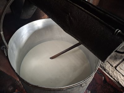 молоко, сир, сироваріння молоко, сир, сироваріння