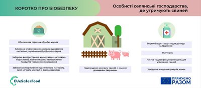 На Одещині зареєстрували випадок африканської чуми свиней