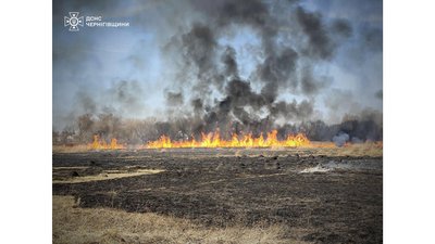У селі на Чернігівщині під час пожежі сухої трави загинула пенсіонерка У селі на Чернігівщині під час пожежі сухої трави загинула пенсіонерка