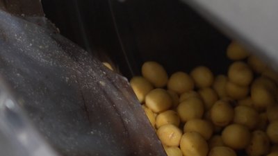 На Житомирщині підприємство з Херсонщини робить чищену вакуумовану картоплю — щомісяця переробляють 200 тонн На Житомирщині підприємство з Херсонщини робить чищену вакуумовану картоплю — щомісяця переробляють 200 тонн