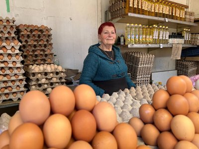 "Це було щось незвичайне": черкащанка вирощує курей, які несуть кольорові яйця "Це було щось незвичайне": черкащанка вирощує курей, які несуть кольорові яйця