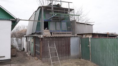 "Вони на вулиці будуть приречені": зооволонтерка з Вінниччини знайшла прихисток двом голубам "Вони на вулиці будуть приречені": зооволонтерка з Вінниччини знайшла прихисток двом голубам