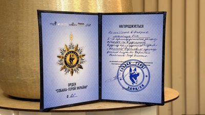 Нік — не просто службовий пес: як малінуа став побратимом прикордонника з Одещини Нік — не просто службовий пес: як малінуа став побратимом прикордонника з Одещини