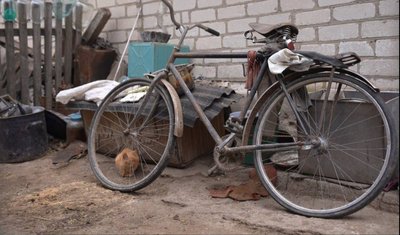 "Старе дерево не пересаджують". Історія Марії Луценко з Дніпропетровщини, яка живе у майже спорожнілому селі "Старе дерево не пересаджують". Історія Марії Луценко з Дніпропетровщини, яка живе у майже спорожнілому селі