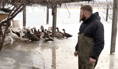 "Плавали кури майже обморожені": на Черкащині другий день долають наслідки підтоплення "Плавали кури майже обморожені": на Черкащині другий день долають наслідки підтоплення