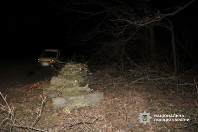 На Одещині двох чоловіків засудили за незаконну вирубку п'яти дубів На Одещині двох чоловіків засудили за незаконну вирубку п'яти дубів