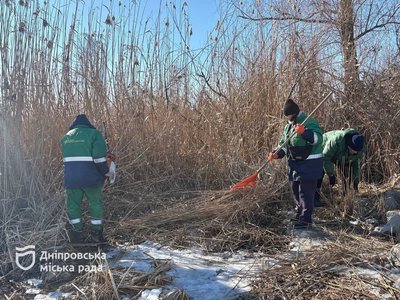 Вирізання очерету, оновлення газону, підстригання дерев і кущів: у Дніпрі стартували роботи з підготовки до весни Вирізання очерету, оновлення газону, підстригання дерев і кущів: у Дніпрі стартували роботи з підготовки до весни